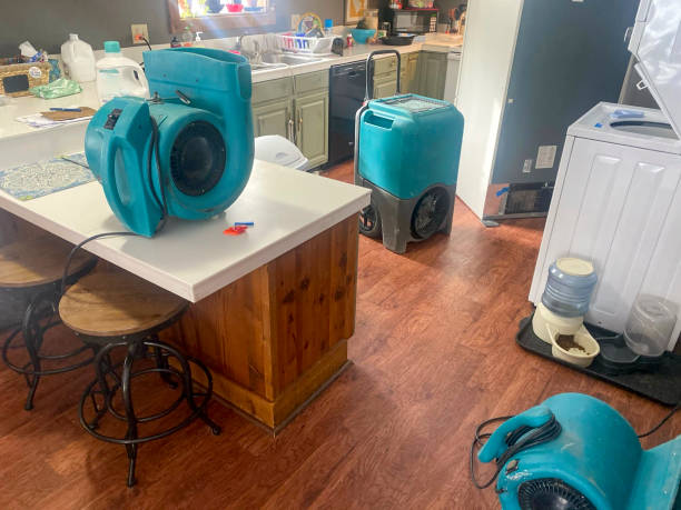 Best Carpet water damage restoration  in Coronita, CA