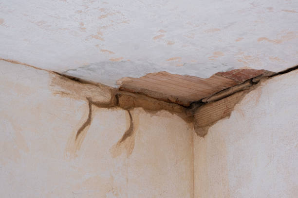 Best Water damage cleanup near me  in Coronita, CA