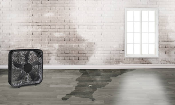 Best Commercial water damage restoration  in Coronita, CA