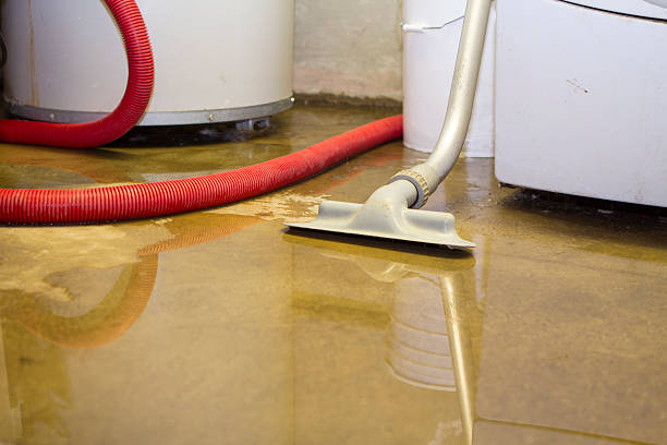 Best Flooded house restoration  in Coronita, CA