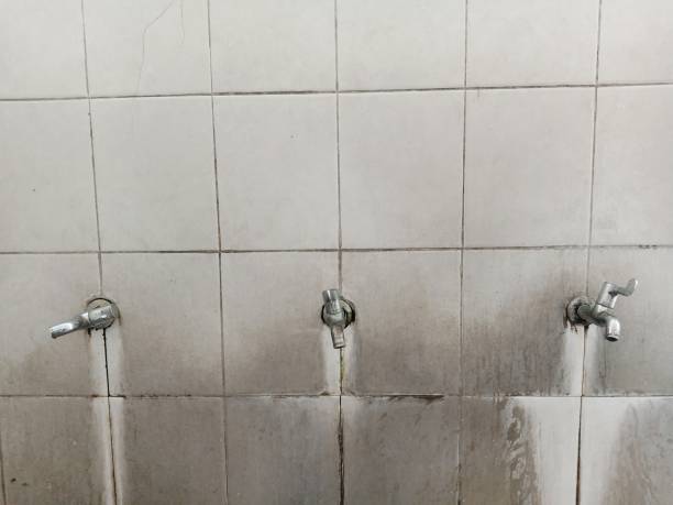 Best Sewage cleanup and water damage restoration  in Coronita, CA