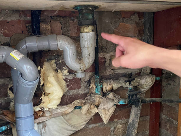 Best Flooded house restoration  in Coronita, CA