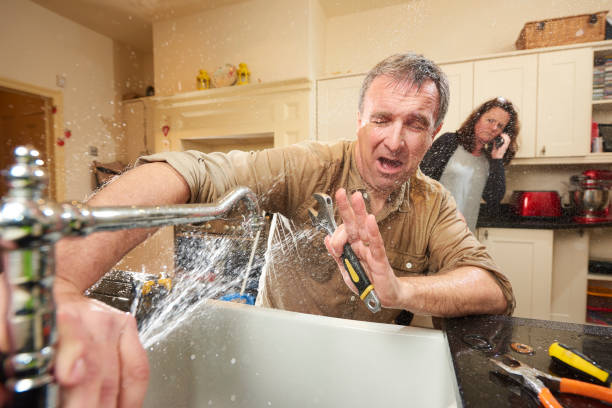 Best Professional water damage repair  in Coronita, CA